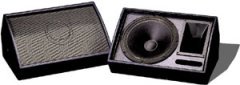 Turbosound TFM300 Bi-amped Monitor