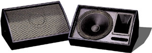 Turbosound TFM300 Bi-amped Monitor