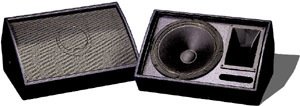 Turbosound TFM300 Bi-amped Monitor