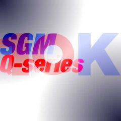 10Kused-SGM-Q-series