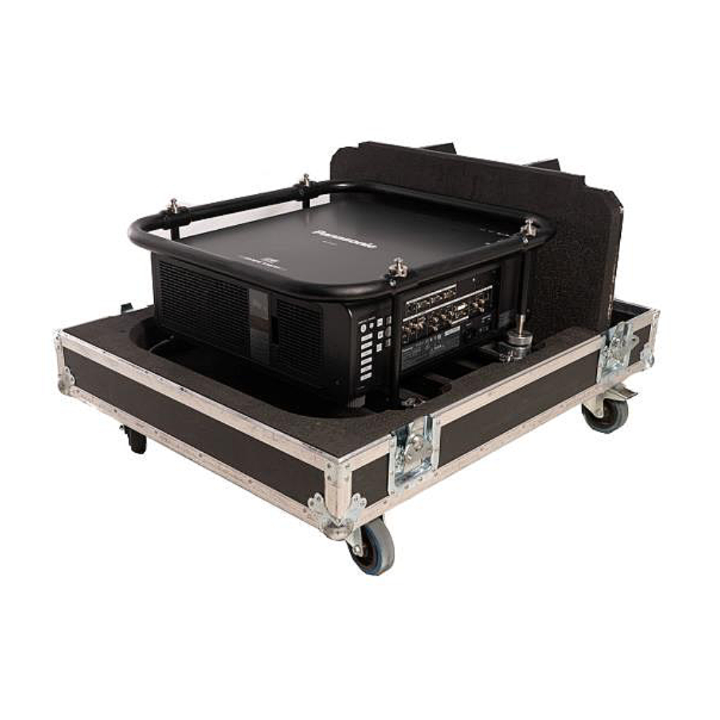 Panasonic PTDS12