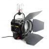 DeSisti Leonardo 2K Pole Operated Fresnel