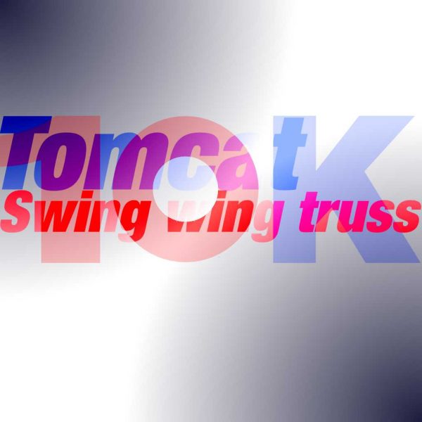 10Kused-Tomcat-Swing-wing-truss