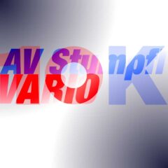 10Kused-AV-Stumpfl-VARIO