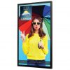 Brand new Peerless-AV 65" Xtreme High Bright Outdoor Display