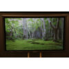 Panasonic TH-50PF10EK Plasma Monitors