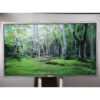 Philips BDL4620QL LED LCD Monitors