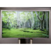Philips BLD4271VC High brightness monitor Set (2)
