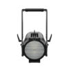 Chauvet-Ovation-Rêve-P-3-IP-4