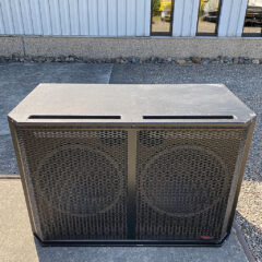 Apogee AE-12s2 subwoofer