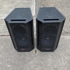 Apogee AE-5NC two-way, bi-amped loudspeaker Set (2)