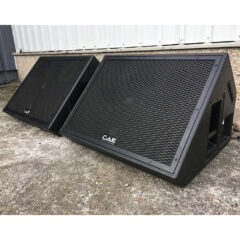 GAE 222M stage monitor