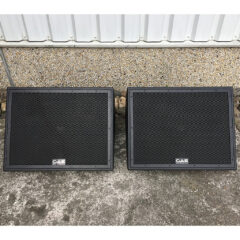 GAE 222M stage monitor