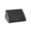 Audio Analysts 15VFX Stage monitor with 15" subwoofer