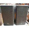 Outline DVS10 Loudspeaker