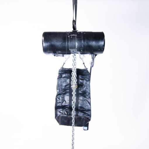 CM (Columbus Mckinnon) LODESTAR TYPE L Electric Chain Hoist