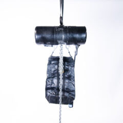 CM (Columbus Mckinnon) LODESTAR TYPE L Electric Chain Hoist