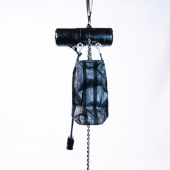 CM (Columbus Mckinnon) LODESTAR TYPE F Electric Chain Hoist