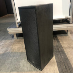 Stage Accompany F9 full-range monitor, with double 6.5” woofer