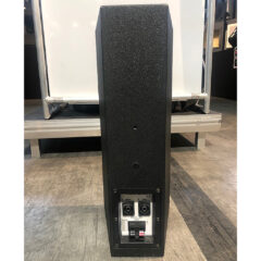 Stage Accompany F9 full-range monitor, with double 6.5” woofer