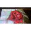 Neoneon Starfloor LED Screen Package