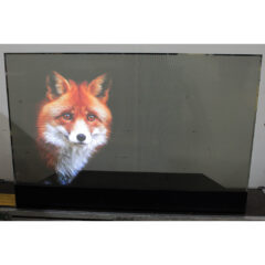 LG GhosT-OLED Transparent Display Full Kit V2