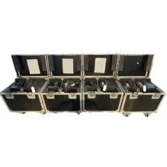 Prolyft PLE-11-020 Electric Chain Hoist