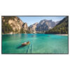 Samsung QM98T LCD Displays