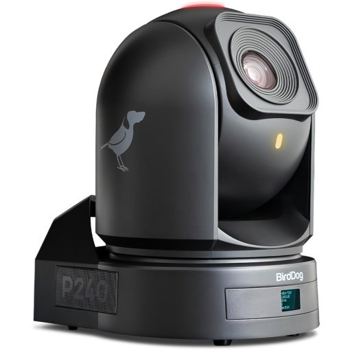 BirdDog P240 Full NDI, NDI|HX2 and HX PTZ Camera