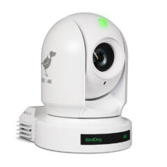 BirdDog Eyes P400 4K NDI PTZ Camera
