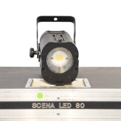 DTS SCENA LED 80 5000K Lighting Fixture