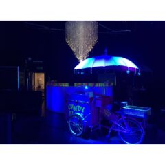 Fiber Optic Chandelier