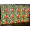 TAC Innovative Display P1.86 Package