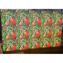 TAC Innovative Display P1.86 Package