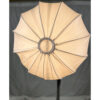 Jem Spring Ball 22" Tungsten Package