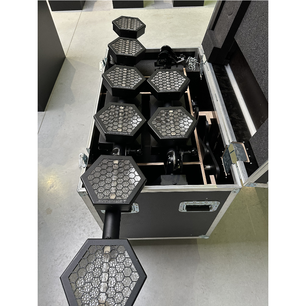 Portman P2 Hexaline Lighting Fixture
