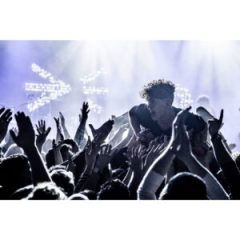 Martin VC-Grid LED Package